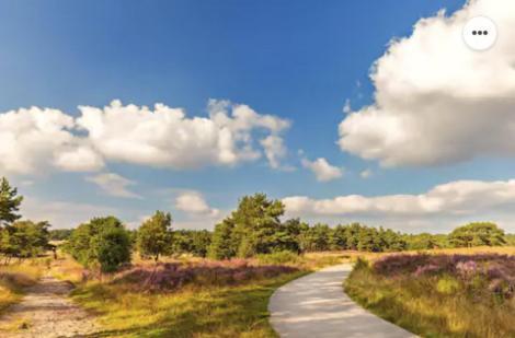 Park Konijnenburg Villa Putten Eksteriør bilde